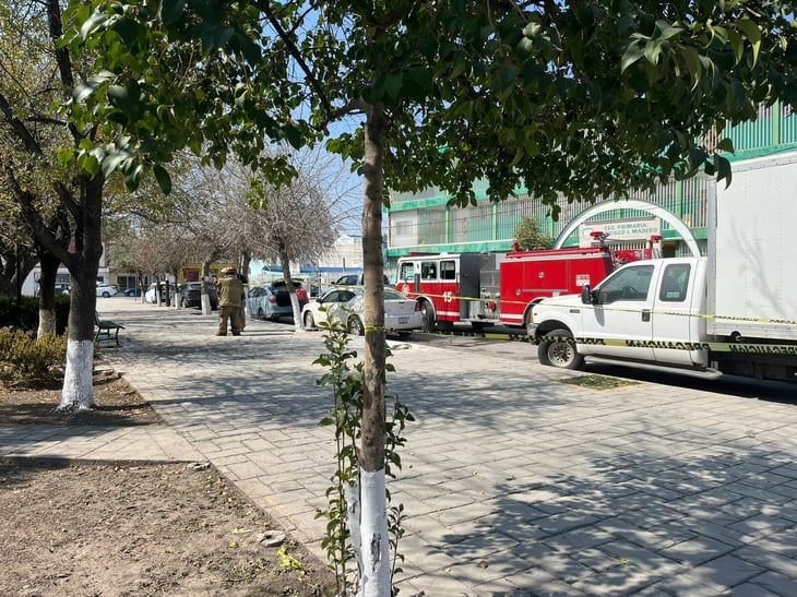 Cae panal frente a primaria y avispas atacan a un peatón