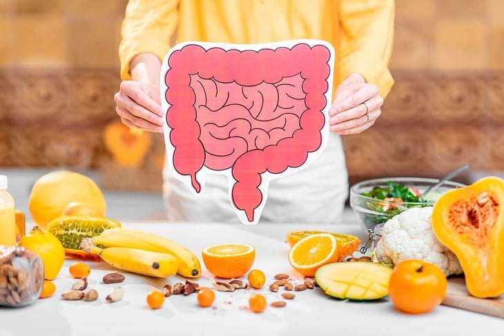Fibra y salud intestinal: cómo mejorar la microbiota y el tránsito digestivo