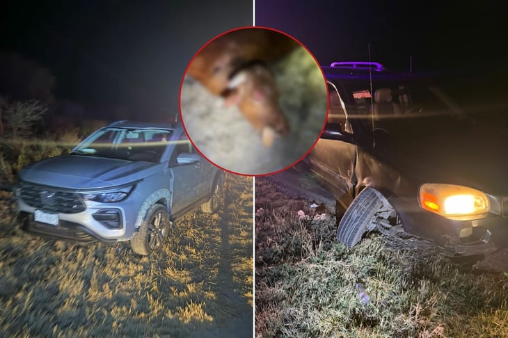 Vaca provoca fuerte accidente en la Carretera 57; dos mujeres resultan lesionadas