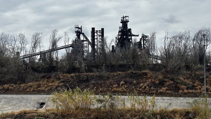 Empresario: AHMSA avanza hacia su reactivación