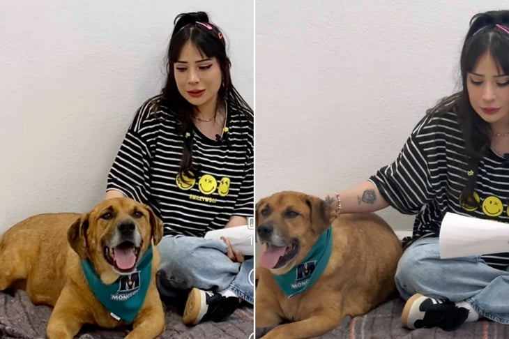Odín, el perro que aprendió a esperar: la historia que conmueve desde el Centro de Bienestar Animal de Monclova