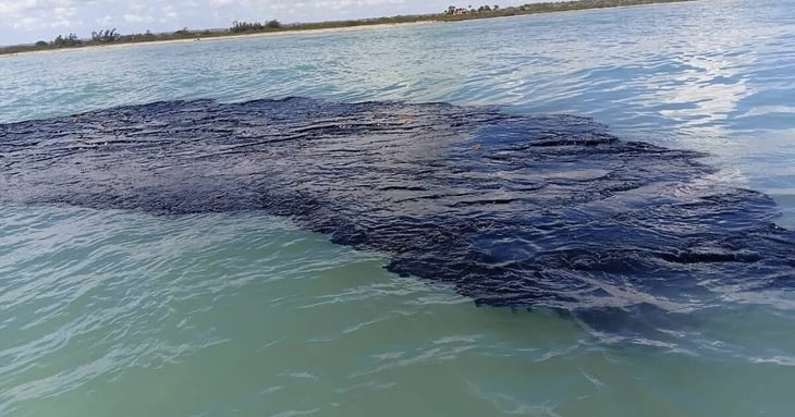 Derrame en Golfo de México afecta 630 km de costa: Greenpeace