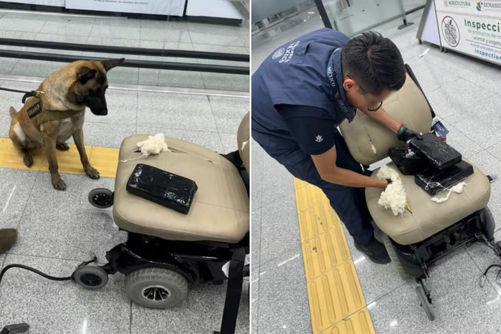 Binomio canino detecta cocaína oculta en silla de ruedas en el AICM
