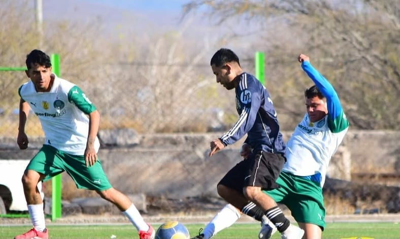 Halcones de la California sigue con vida en busca del bicampeonato