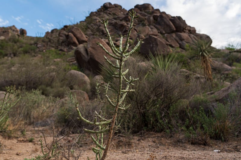 Sierra del Sarnoso