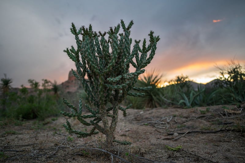 Sierra del Sarnoso