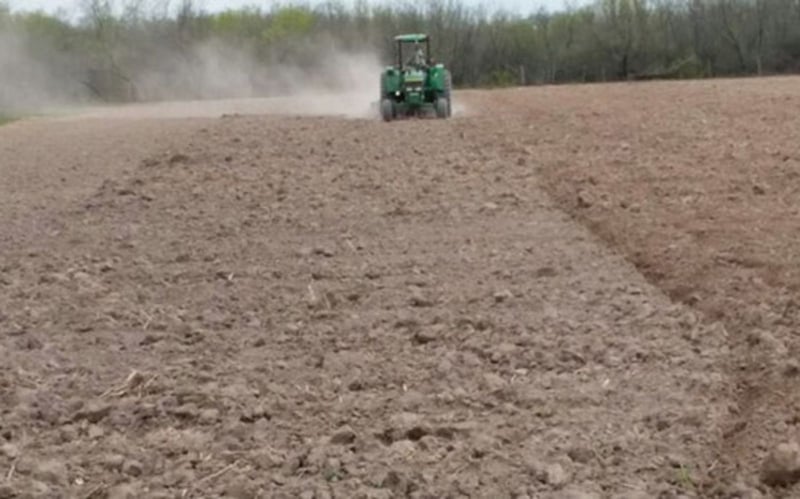 Muere el campo en la Región Centro