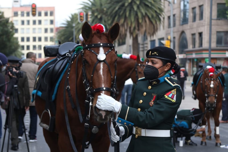 Aniversario 110 de la Revolución Mexicana  