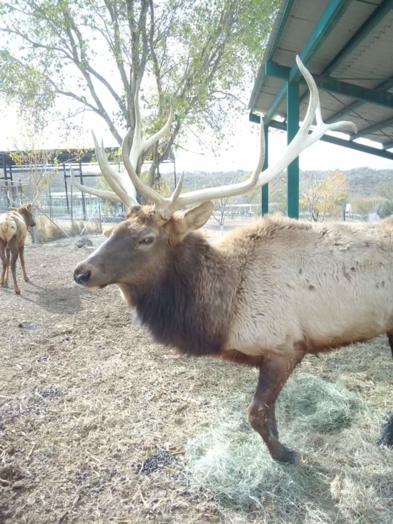 GALERÍA: Abren puertas del Ecoparque Monclova