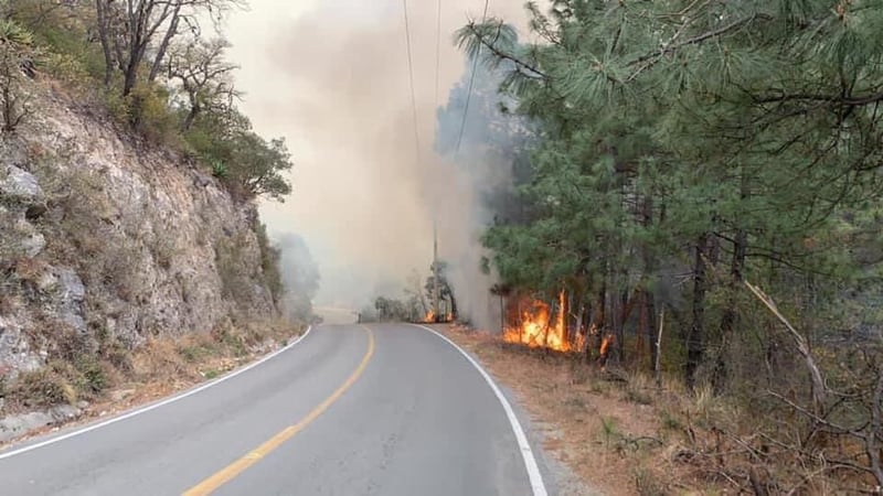 Incendio en la Sierra de Arteaga