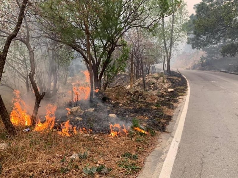 Incendio en la Sierra de Arteaga