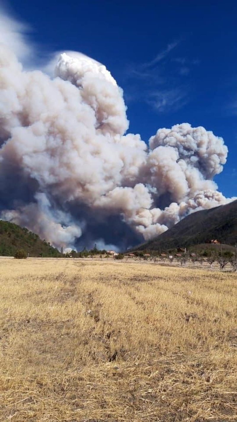 Incendio en la Sierra de Arteaga