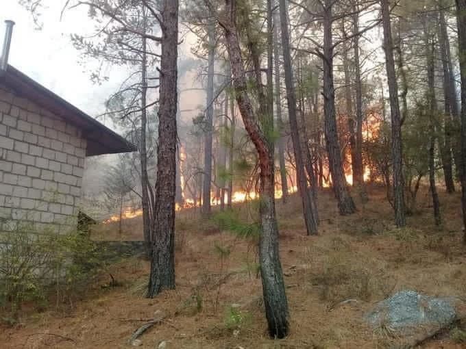 Incendio en la Sierra de Arteaga