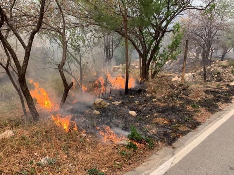 Incendio en la Sierra de Arteaga