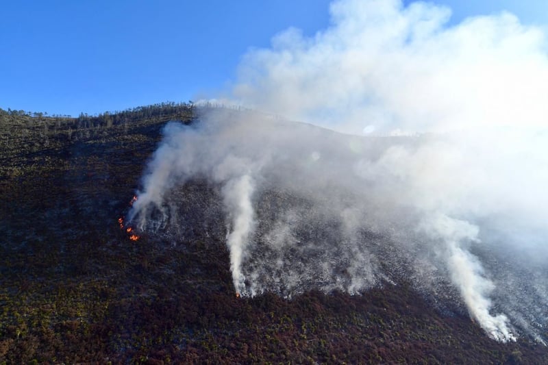 Incendio en Arteaga 