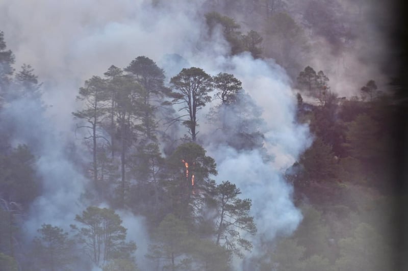 Incendio en Arteaga 