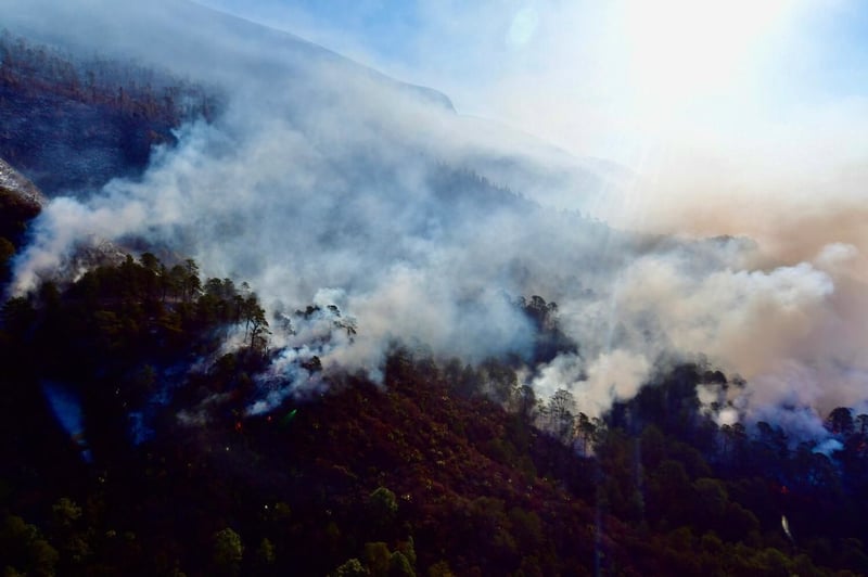 Incendio en Arteaga 