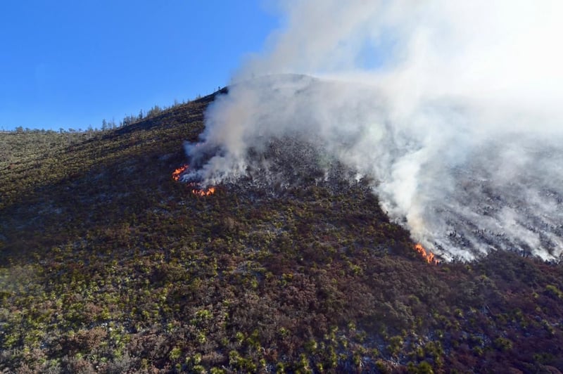 Incendio en Arteaga 