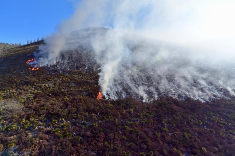 Incendio en Arteaga 