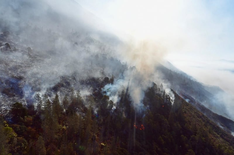 Incendio en Arteaga 