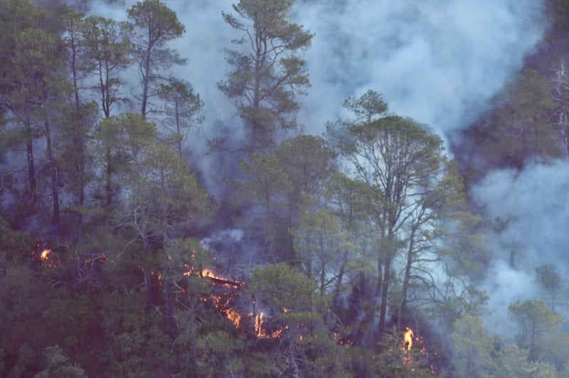 Incendio en Arteaga 