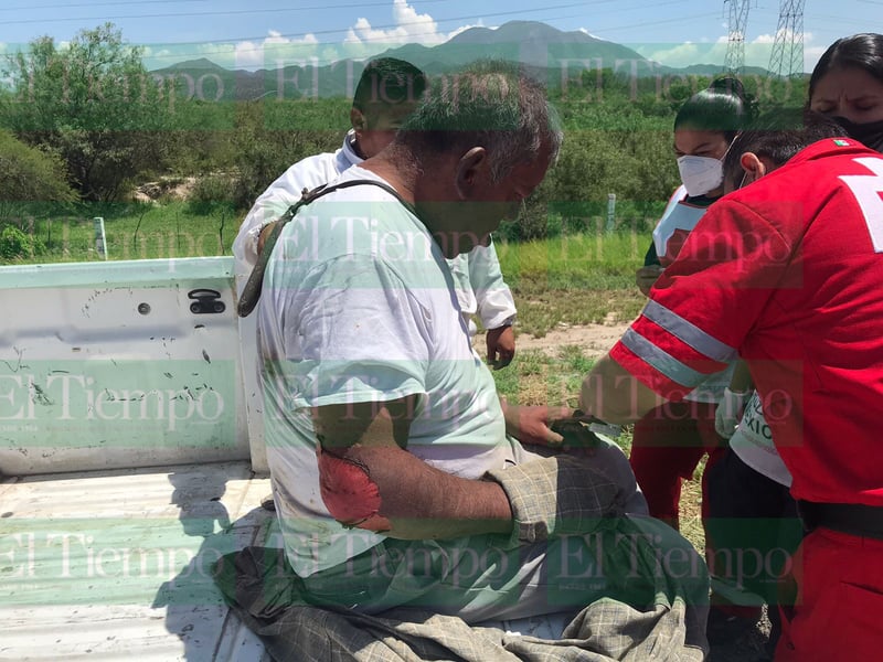 Un hombre es atacado por enjambre de abejas en Castaños