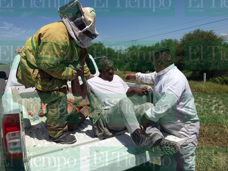 Un hombre es atacado por enjambre de abejas en Castaños