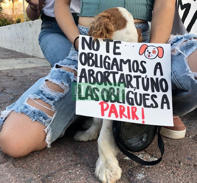 Feministas protestan pacíficamente en la Plaza del Magisterio en Monclova