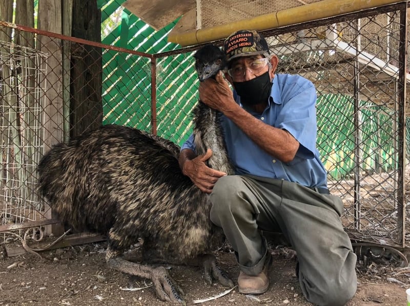 El Aviario de Monclova invita a la ciudadanía a visitarlo