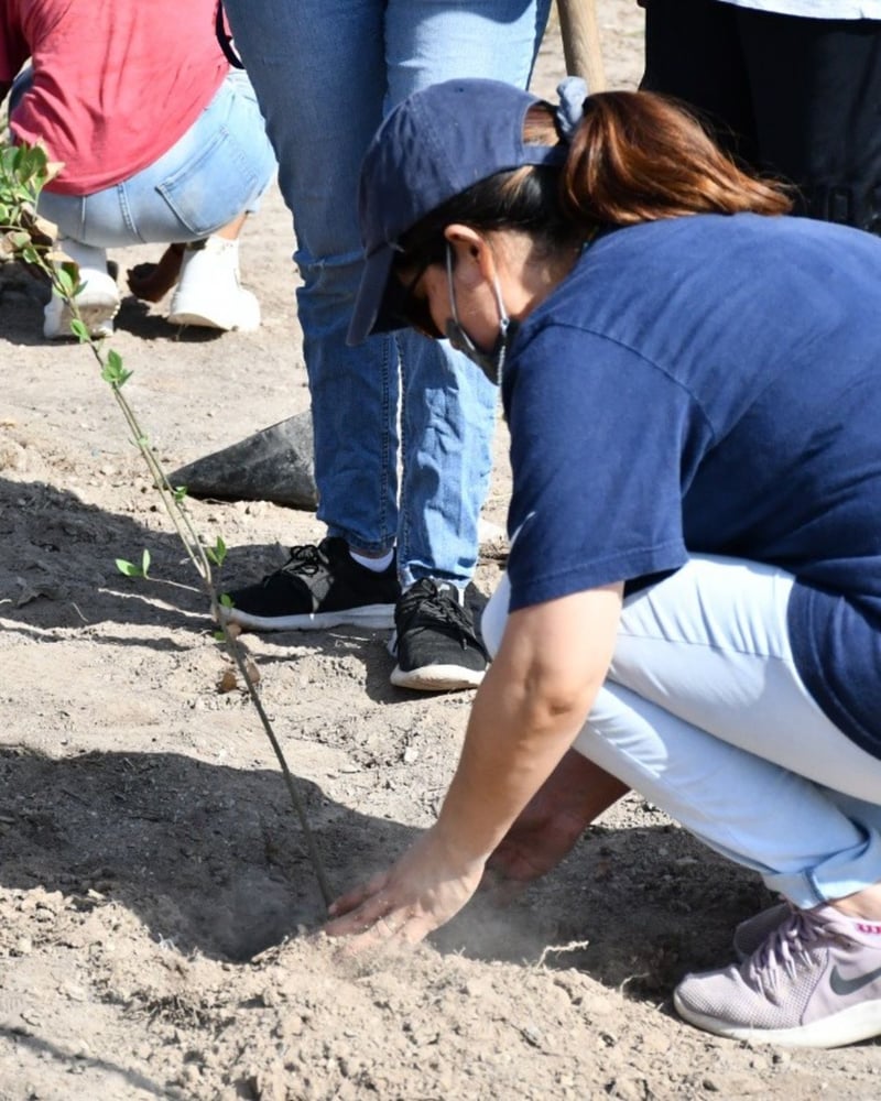 Reforestación en Ecoparque de Monclova