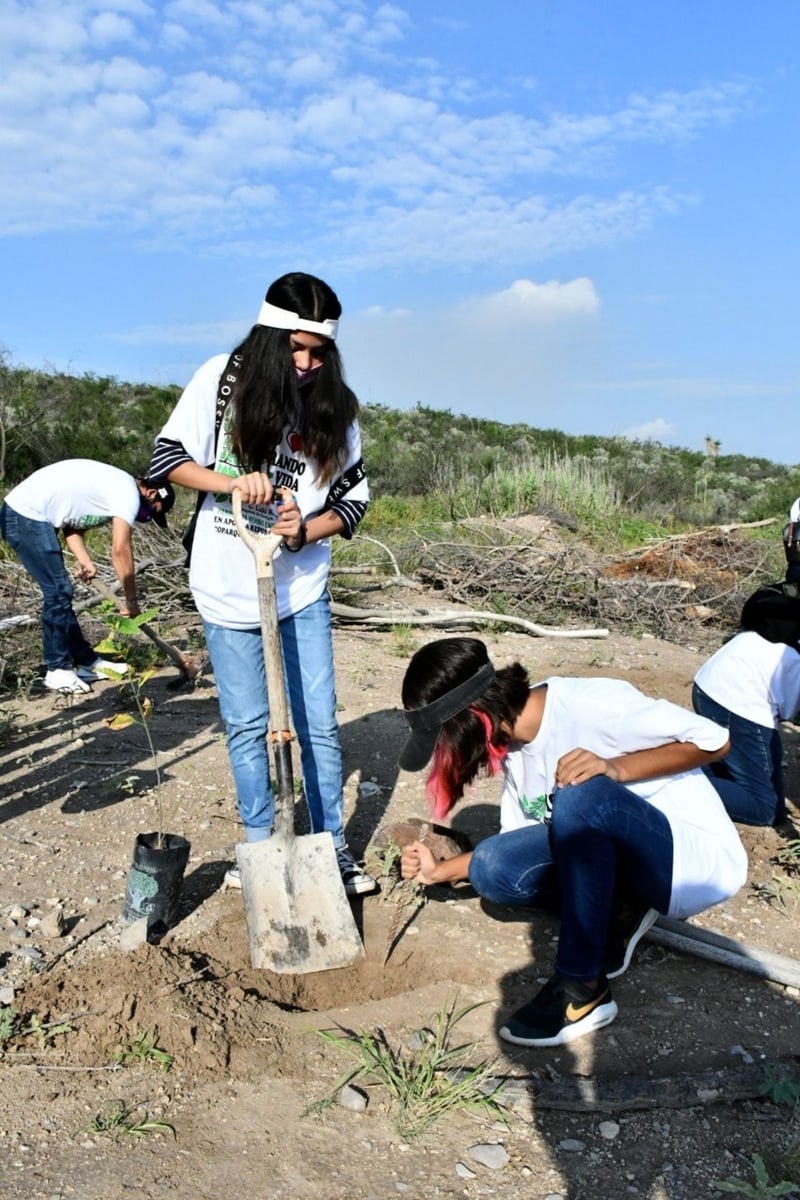 Reforestación en Ecoparque de Monclova