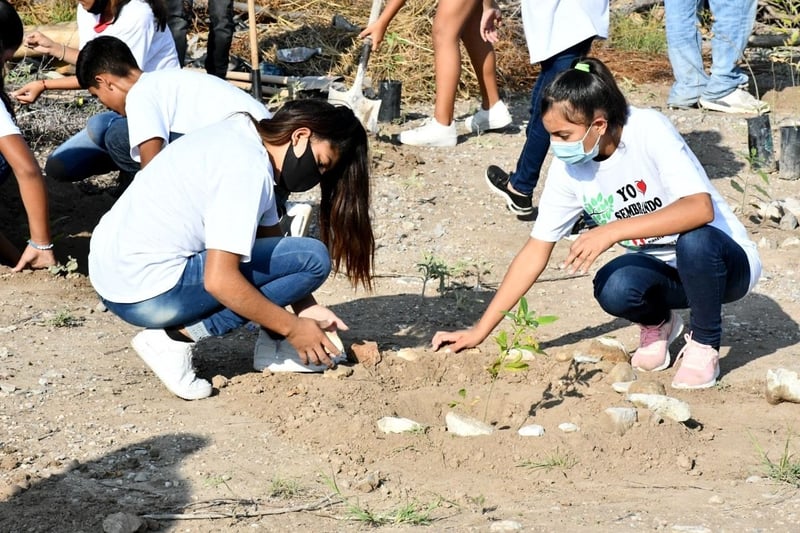 Reforestación en Ecoparque de Monclova