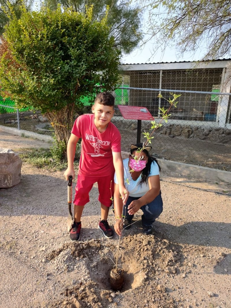 Reforestación en Ecoparque de Monclova