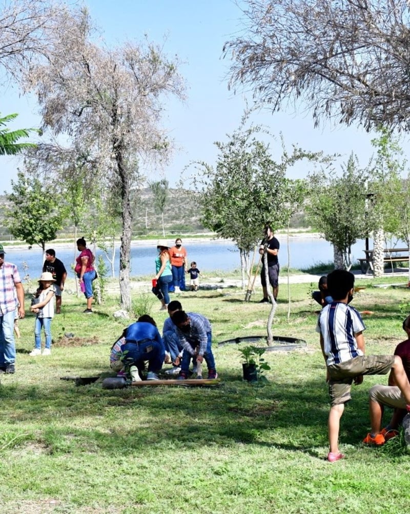 Reforestación en Ecoparque de Monclova