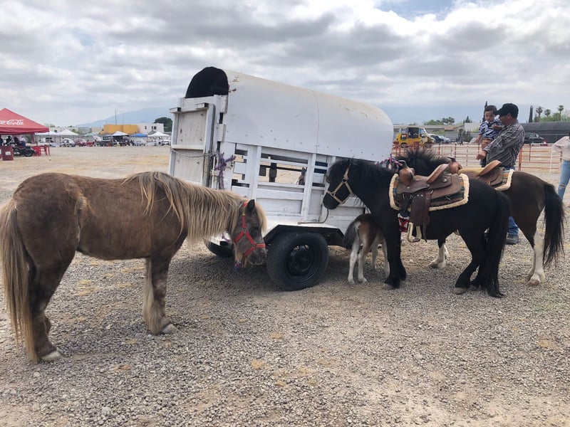 Tianguis Agropecuario en Monclova