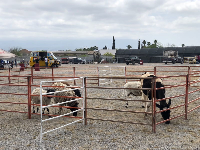 Tianguis Agropecuario en Monclova