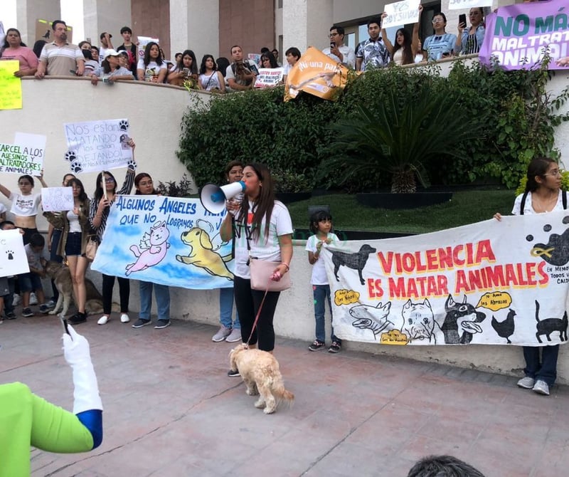 Se unen cientos de personas para pedir justicia por los tres perritos asesinados por Bomberos 