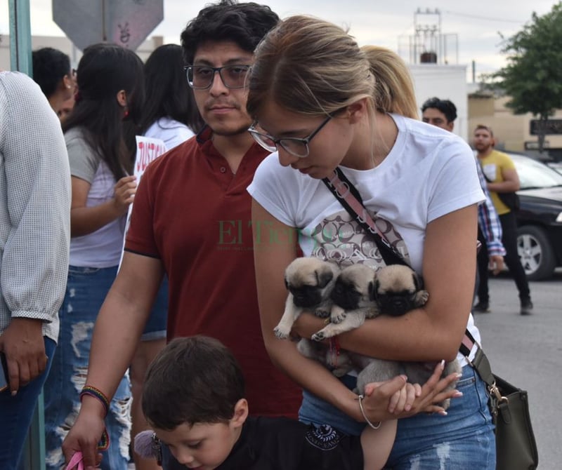 Se unen cientos de personas para pedir justicia por los tres perritos asesinados por Bomberos 