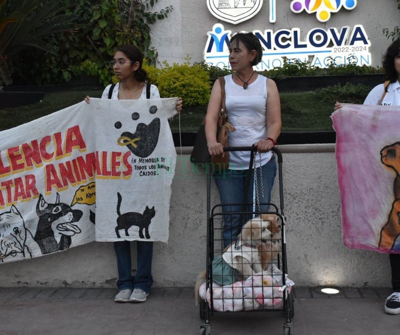 Se unen cientos de personas para pedir justicia por los tres perritos asesinados por Bomberos 