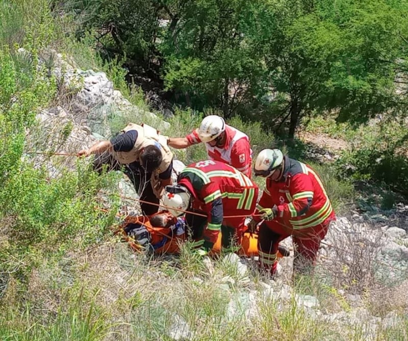 Tráiler cae de puente; socorristas tratan de ayudar al conductor.