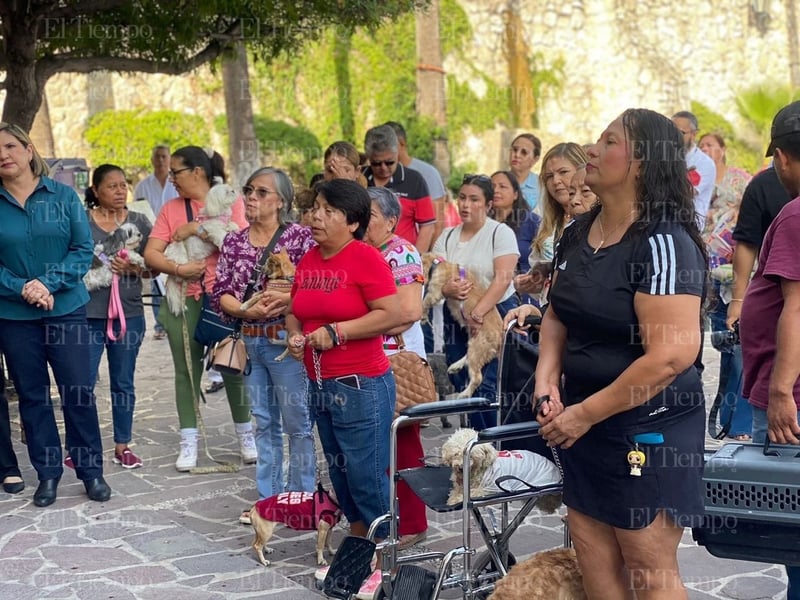 Bendición de las mascotas en la parroquia San Francisco de Asís por el santo día del patrono.