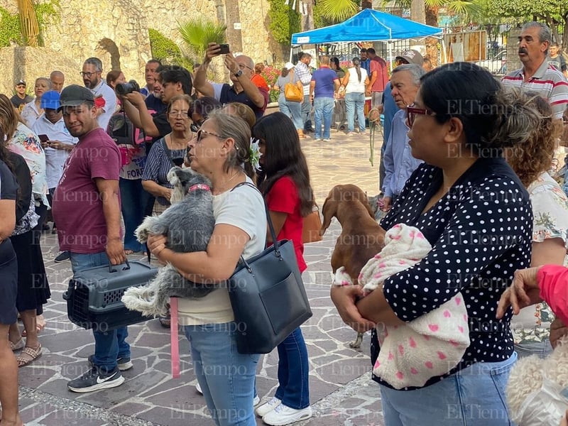 Bendición de las mascotas en la parroquia San Francisco de Asís por el santo día del patrono.