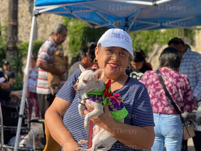 Bendición de las mascotas en la parroquia San Francisco de Asís por el santo día del patrono.