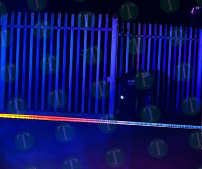 Presunto ladrón se electrocutó 