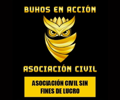 Abogados forman la asociación sin fines de lucro "Búhos en Acción"