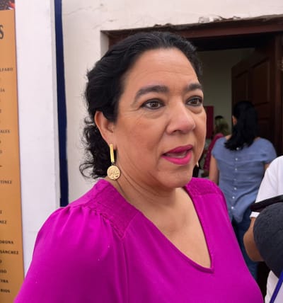 Más de 15 terrenos municipales  se han vendido de manera ilegal