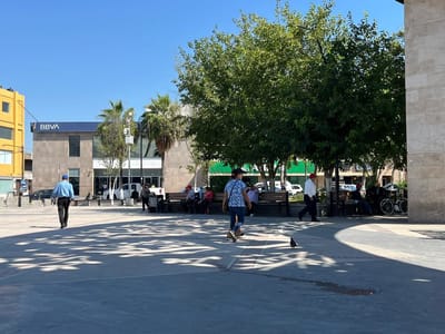Cuadrillas podan árboles secos en la plaza principal para reponerlos