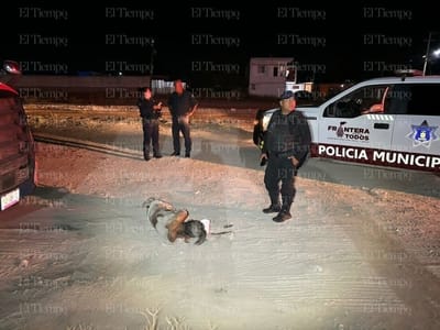Atropellan y abandonan a 'El Furcio' en la colonia Pemex de Frontera 