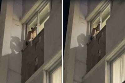 VIDEO: Paciente intenta lanzarse de la cornisa en la Clínica 7 del IMSS