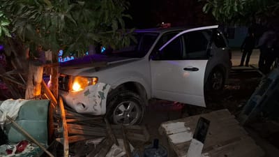 Ebrio se estrella en casa y un árbol 